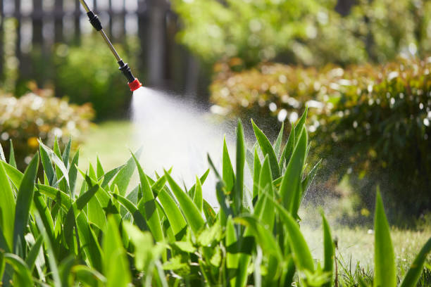 24/7 Emergency Mosquito Control experts in Corydon, IN